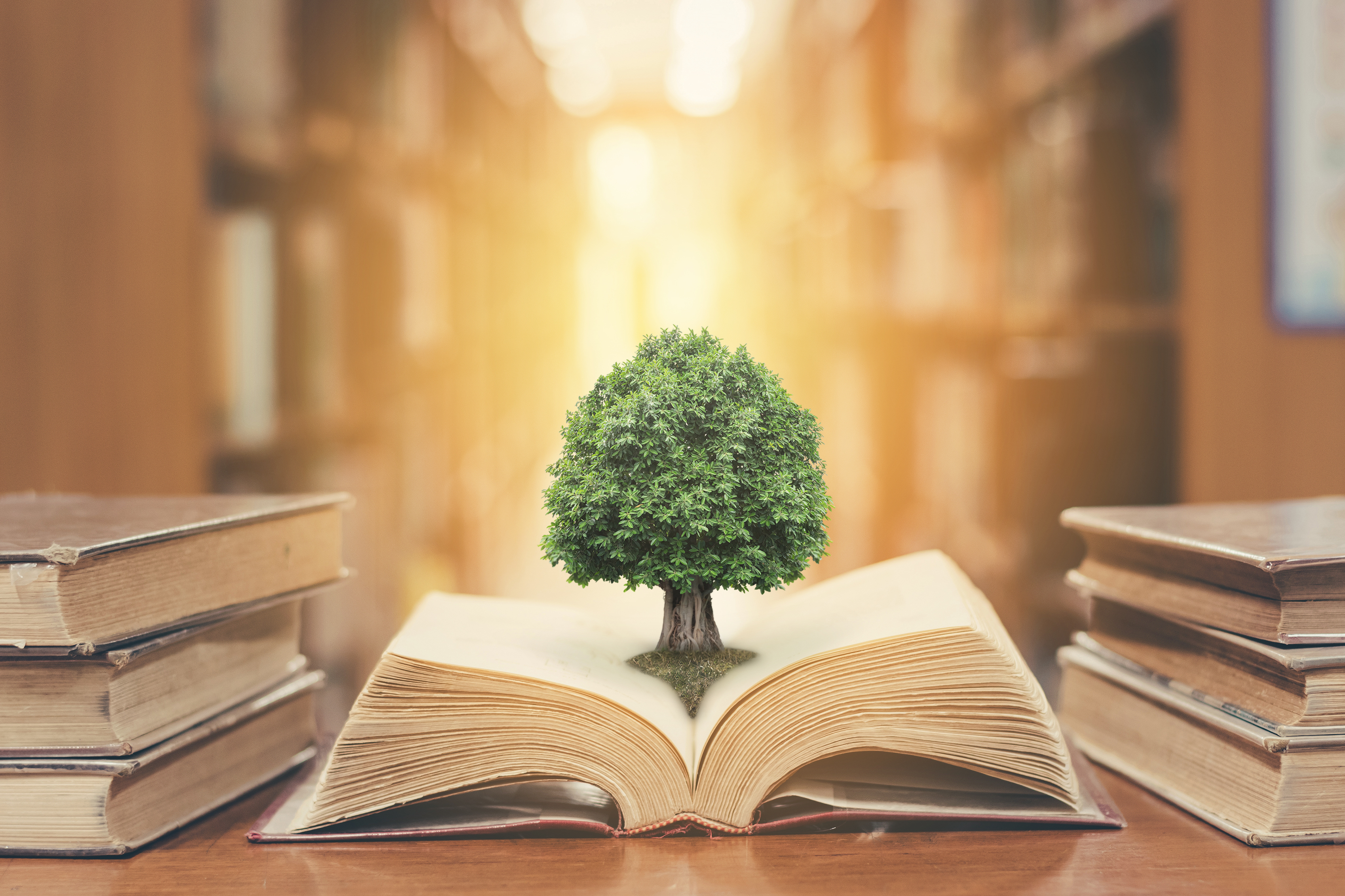 Día Mundial de la Educación Ambiental