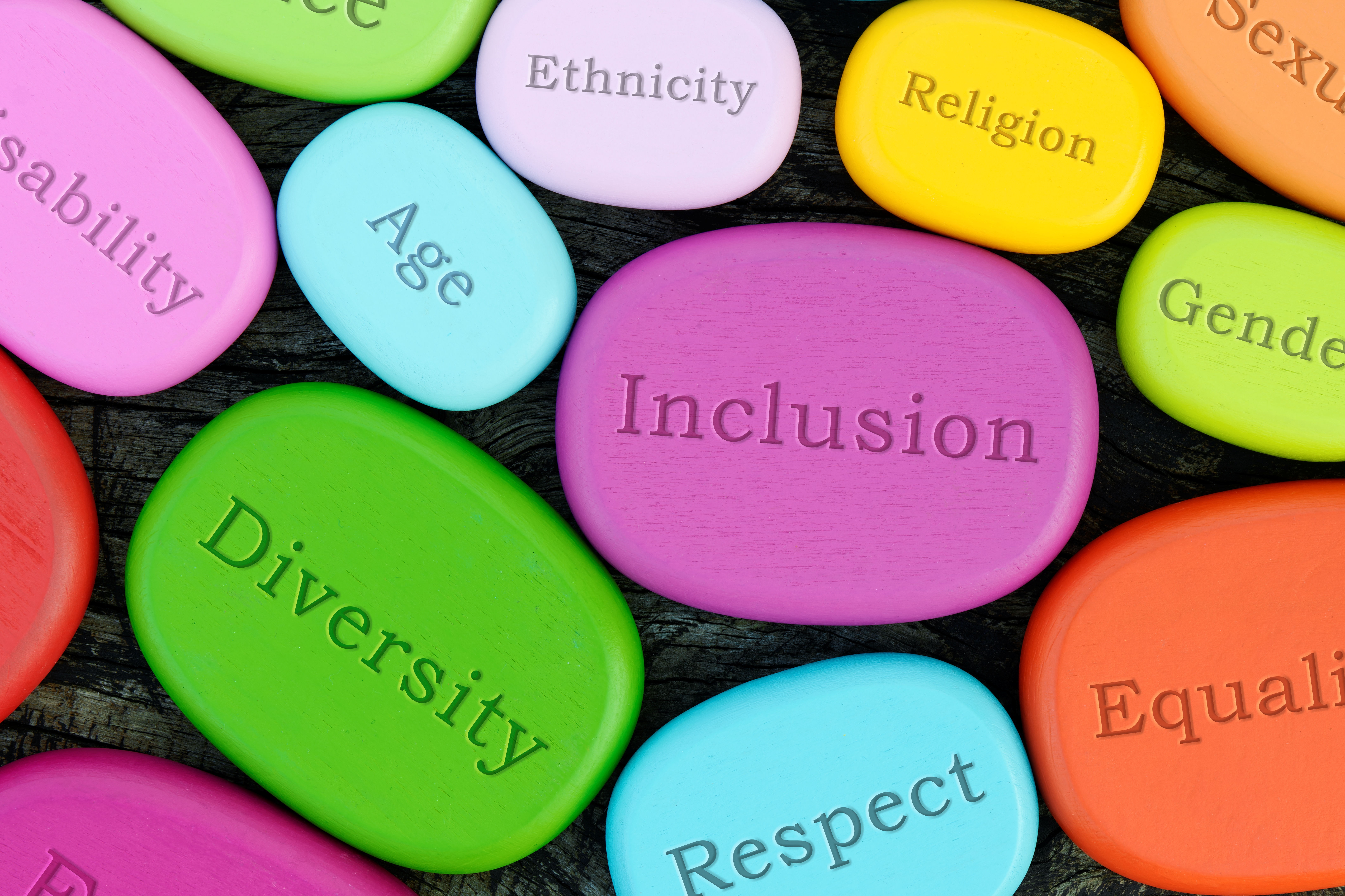Día Nacional por la Inclusión Laboral