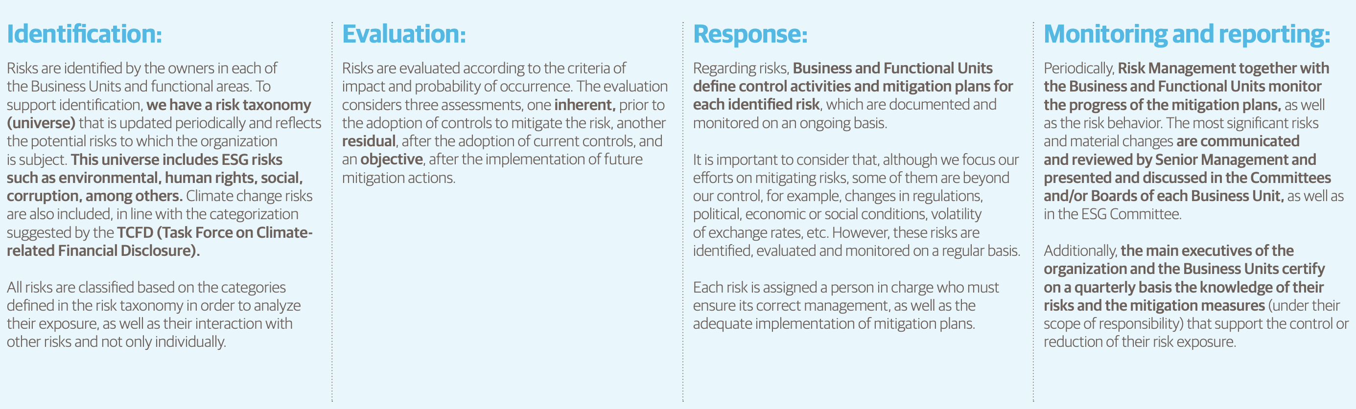 Risk management process