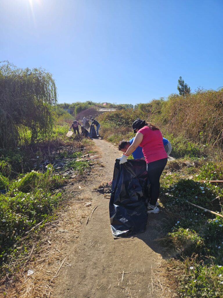 Limpieza humedal 2